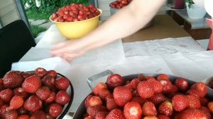 Лесная и садовая земляника. Секреты заморозки.