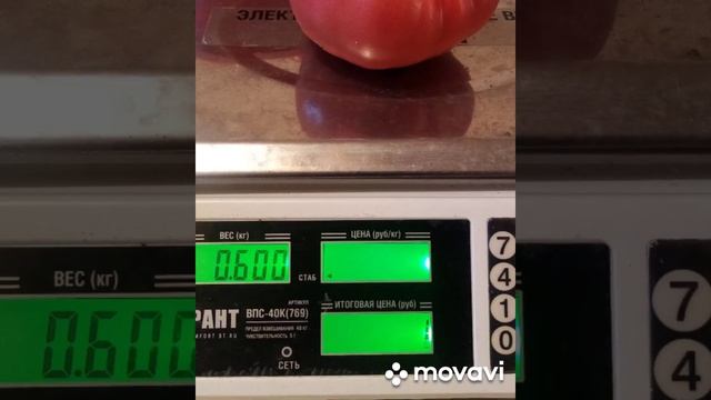 Пинк парадайз f1 @помидор @томат смотреть онлайн