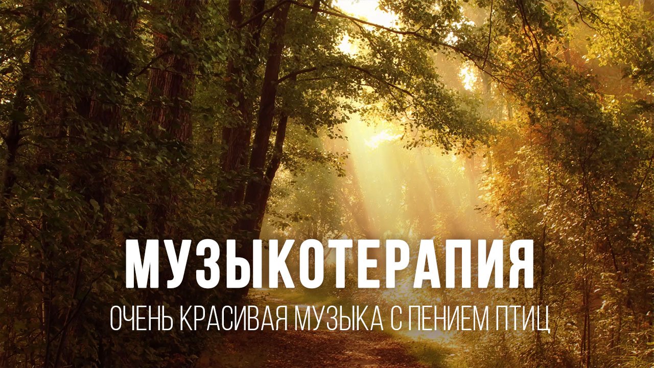 Музыкотерапия. Очень красивая музыка с пением птиц