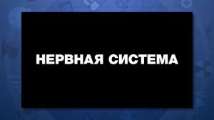Аудиокодирование и мировое управление