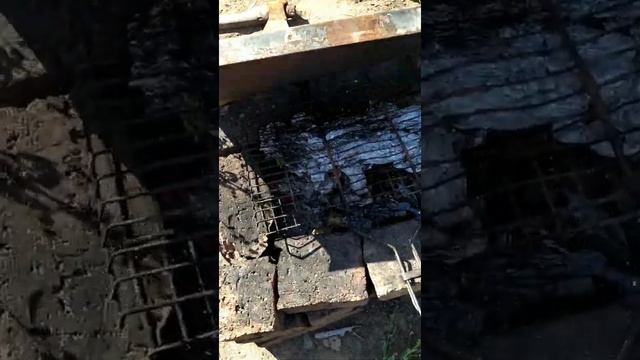 Рыба в фольге на углях!!! За 20 минут!!! смотреть онлайн