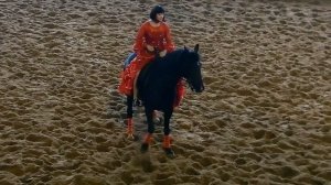 Испанский Танец. Красивые Лошади Видео. Танцующие Лошади. Испанский Танец Верхом на Лошади