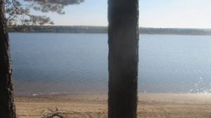 Надо мной - поёт  Джанго