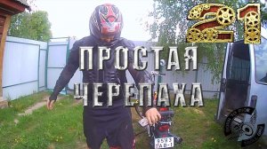 Дешевая и простая черепаха