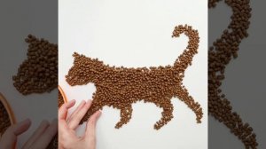 Рацион для котят. Сухой корм для котят Probalance "1`st Diet Kitten"