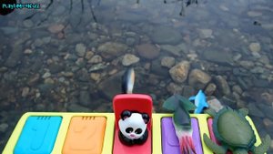 Pop Up with Sea Creature Toys
