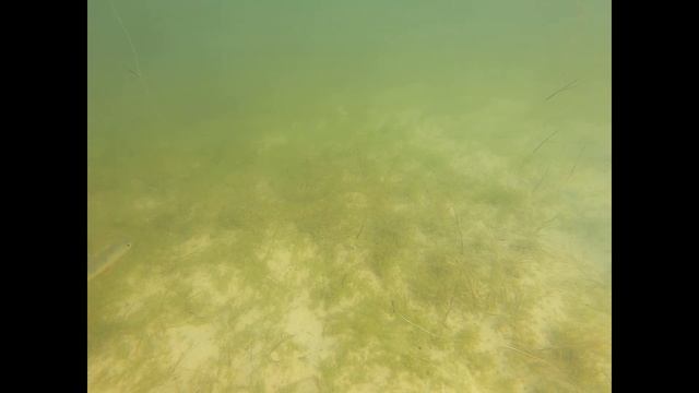 подводный мир на озере Сугояк , снимаем камерой рыбок в озере под водой смотреть онлайн