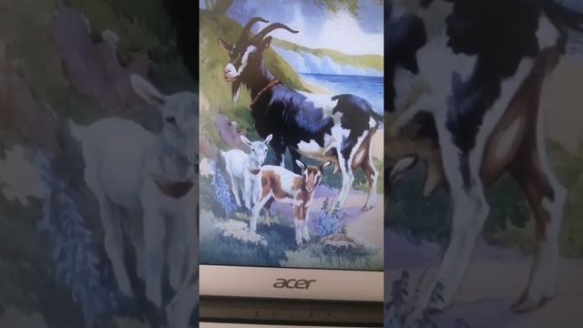 Занятие по развитию речи. Тема: Рассматривание картин из серии"Домашние животные". смотреть онлайн