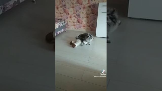 Это девочка Мила смотреть онлайн