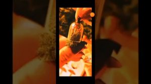 подборка видео из тт~ для травниц /ведьм~🧙♀️✨