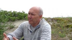 Какой металлоискатель купить