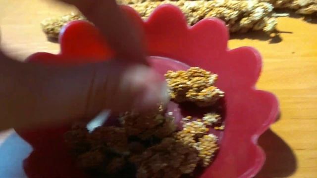 МОЖНО ЛИ СИРИЙСКИМ ХОМЯКАМ ЧУМИЗУ?