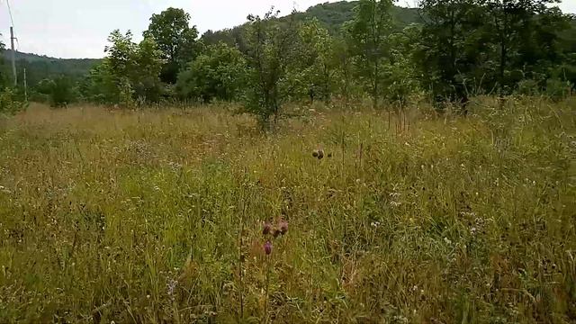 По горным тропам Самарской луки смотреть онлайн