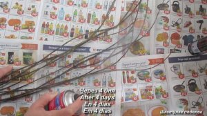 Декоративные ветки своими руками из ивы