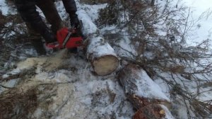 НА САМОДЕЛЬНОМ СНЕГОХОДЕ СМ-002 ЗА ДРОВАМИ В ТАЙГУ / ДВОЕ САНЕЙ ТАЩИТ БЕЗ ТРУДА. ЖИЗНЬ В ДЕРЕВНЕ.