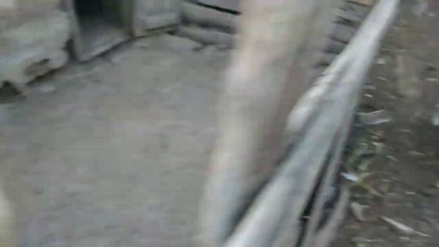 Посадка чеснока в сухую землю смотреть онлайн