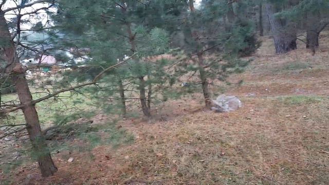 влог ⚘ //ЖИЗНЬ В ДЕРЕВНЕ //КАКОЙ ЧУДЕСНЫЙ ДЕНЬ , РАБОТАТЬ МНЕ НЕ ЛЕНЬ 😁 смотреть онлайн