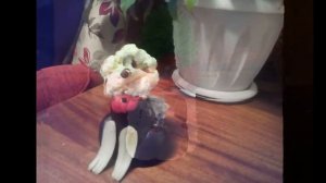 Залез я в стиралку, а там... мамины поделки!