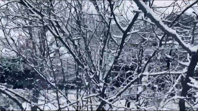 Снег в Мадриде! 7 января 2021 года смотреть онлайн