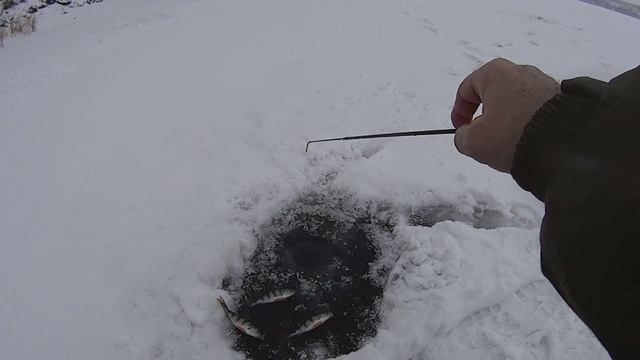 ЗИМНЯЯ РЫБАЛКА НА БАЛАНСИРЫ смотреть онлайн