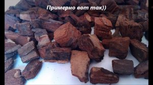 Сборка коры сосны и обработка ее