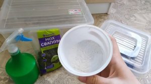 Что нужно для улитки ахатины ??