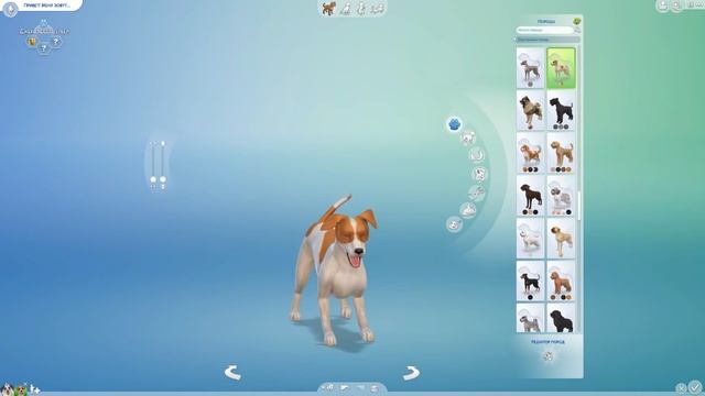 ЧУДО ГЕНЕТИКИ, СОБАКИ - The Sims 4 "Кошки и Собаки" смотреть онлайн