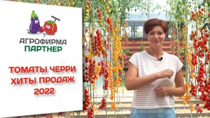Томаты черри. Хиты продаж 2022