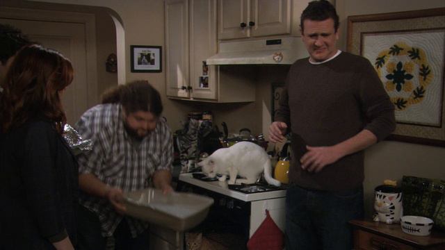 Как я встретил вашу маму 6 сезон 10 серия День Блитцедарения (сериал, 2005)