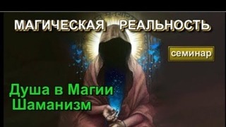 Магия. Душа. Шаманизм. Система высших Смыслов  ✅- онлайн семинар