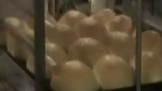 Zuchelli Forni 50 70 Загрузка разгрузка печи смотреть онлайн