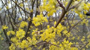 Зима-Весна-Лето-Осень