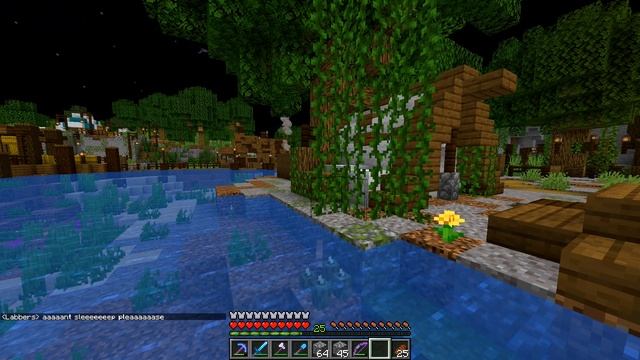 Trolling my new minecraft friend with a disguise plugin смотреть онлайн