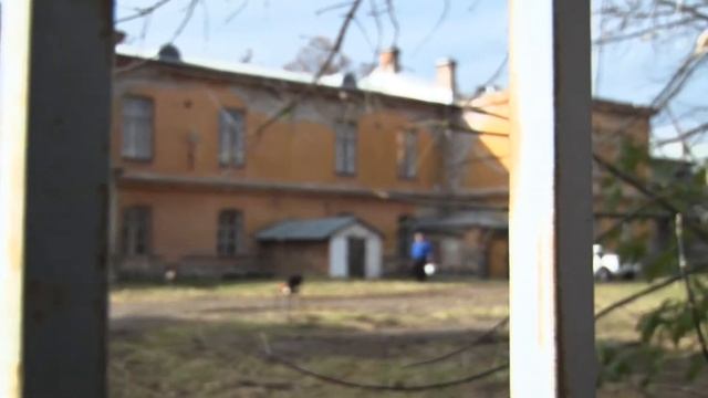 Литературные прогулки. Александр Леопольдович Яворский