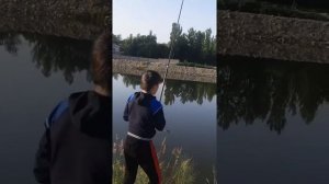 Красивый клев белого амура / Рыбалка 🎣 в Таджикистане