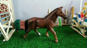 Обзор на лошадей шляйх. 1 часть.