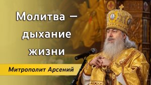 Проповедь митр. Арсения в Неделю 27-ю по Пятидесятнице об исцелении скорченной женщины. 10.12.2023 г