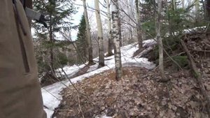 Медвежья Берлога