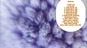 Мастер класс вязаная черепаха. Тутор  вязаная черепаха #черепаха #туториалы #черепахакрючком