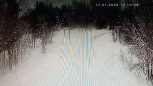 17 января 2 КДМ полные песком