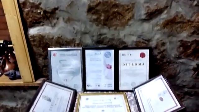 Знакомство с Виноделами. Болниси. В гостях у Алёши Капапнадзе. АЛКАПОНЕ.