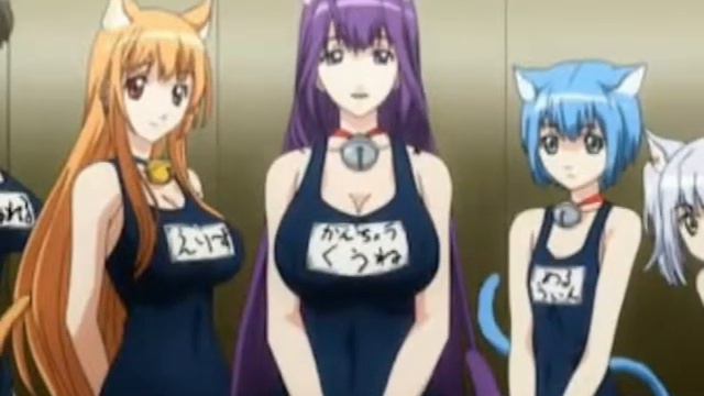 best kitsune /neko girl in anime смотреть онлайн