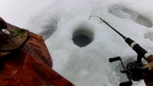 Зимняя  рыбалка в Саратовской области. 01.01.2022 г. Ловим судака в Чардыме.