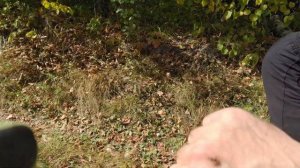 Забурились в окрестности озера Адарьер. Эпический заезд на двух электровелосипедах!