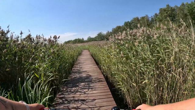 Велоэкскурсия к экотропе "У Лукоморья" и в Юнтоловский заказник. Любуемся на Финский залив в городе