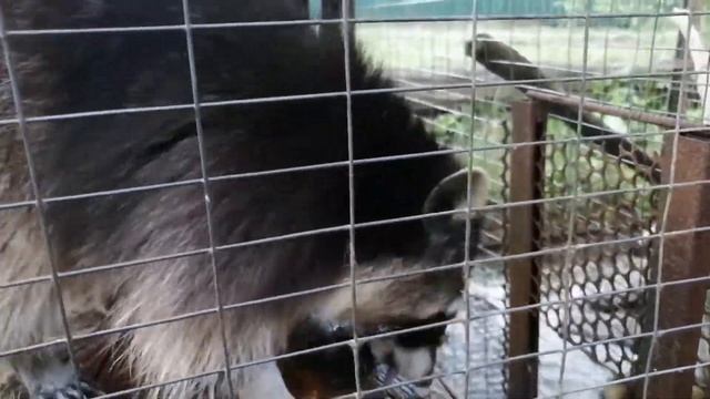 База отдыха Водолей. смотреть онлайн