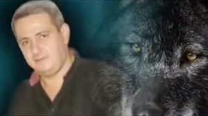 Александр Кир   Волк