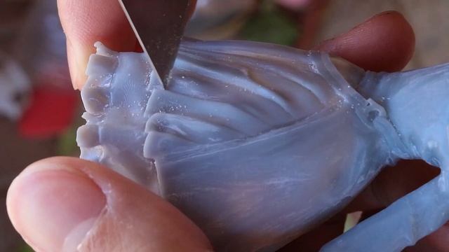 Making Barbara from Genshin Impact | Anime Figure Tutorial смотреть онлайн