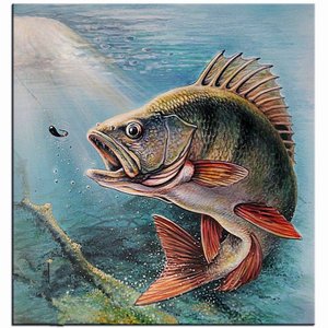 Ловля окуня на мормышку  17 января 2023 #окуньнамормышку#