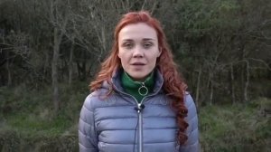 Обращение актеров ОСНОВАНИЕ ОСМАН